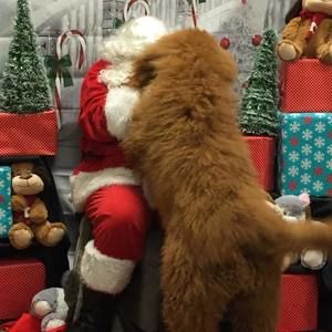 Meet your Posher, Sandy